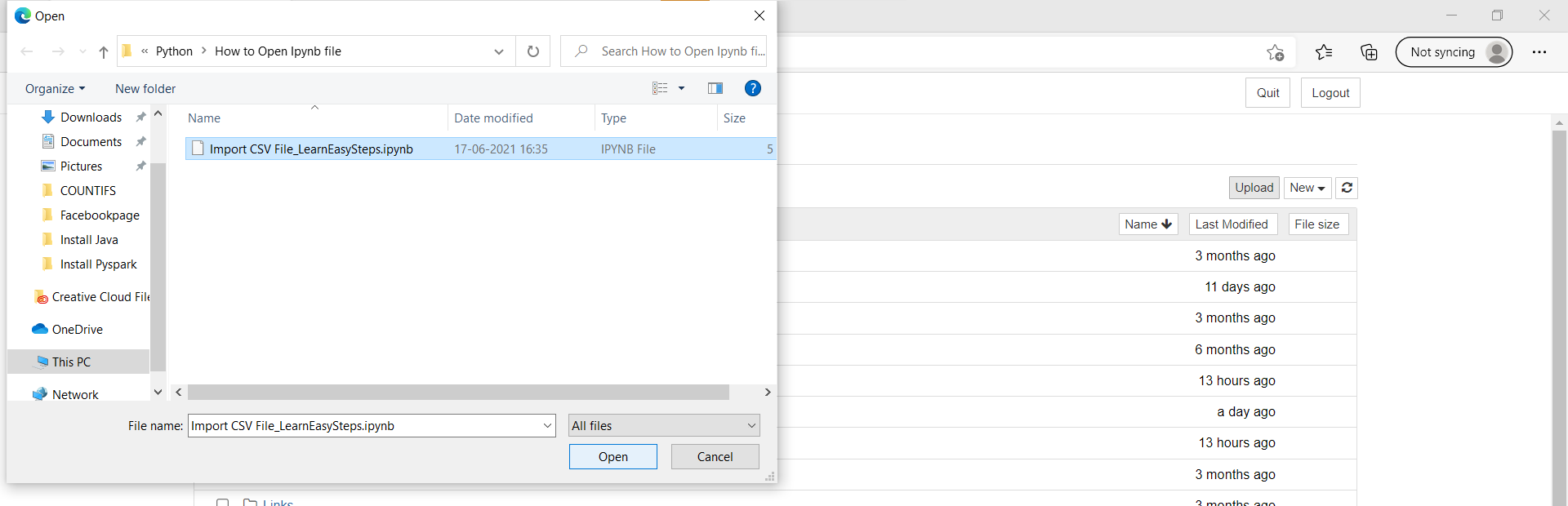 jupyter notebook cannot open ipynb file