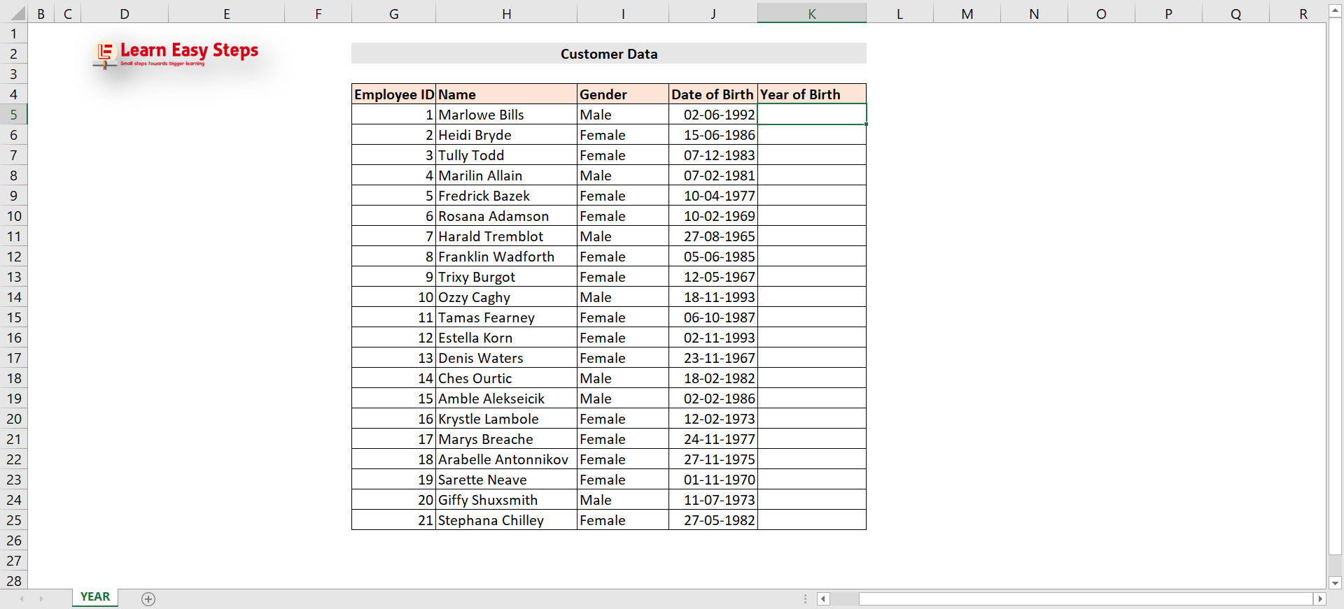 How To Use Year Function In Excel Learn Easy Steps 6682